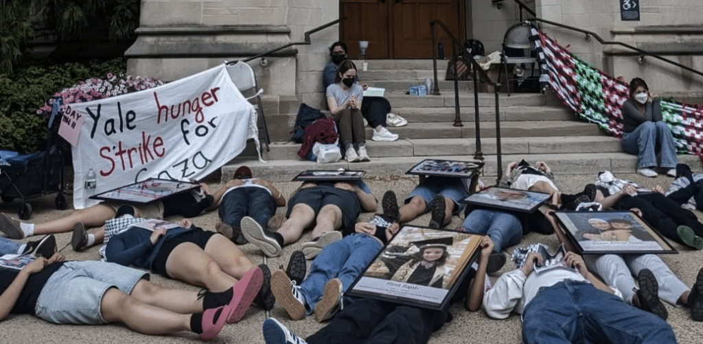 Yalies4Palestine Instagram